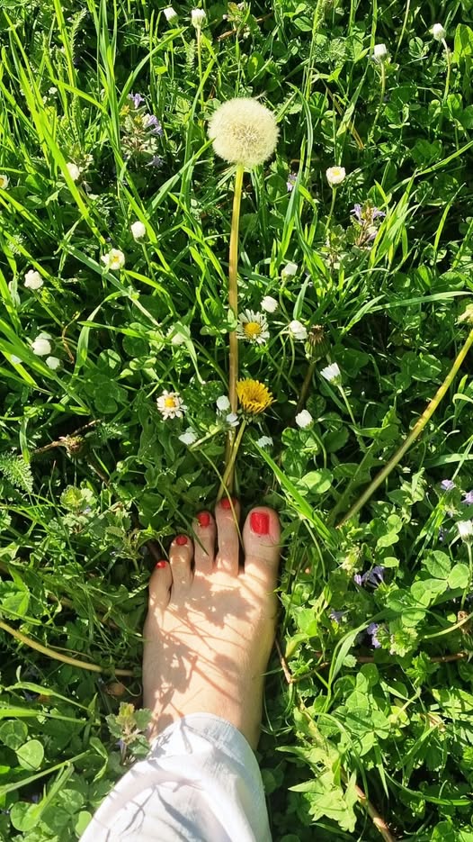 Meditatives Gehen im Rasen