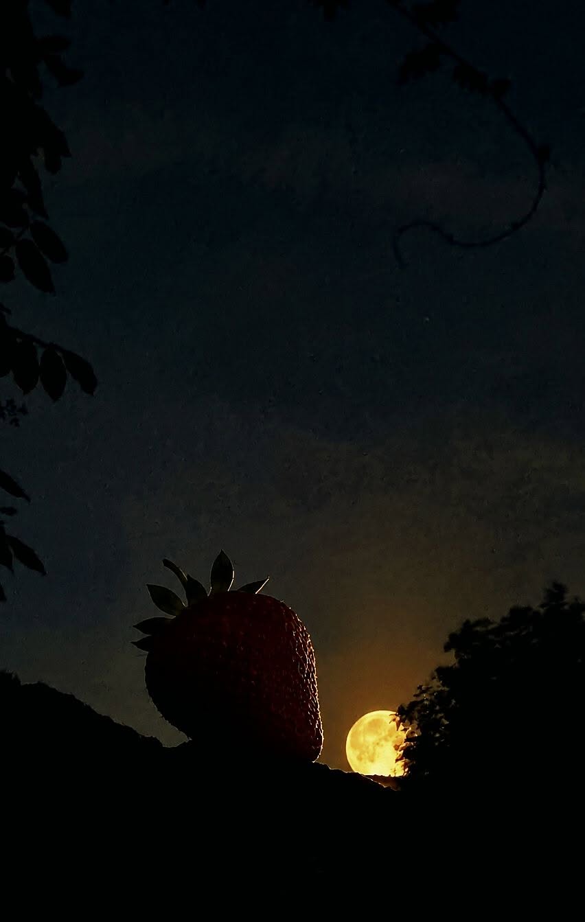 Tantrischer Erdbeermond